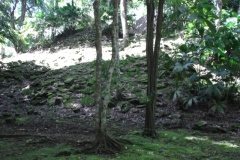 Nim Li Punit - Belize