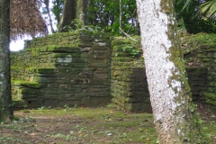 Nim Li Punit - Belize