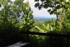 Nim Li Punit - Belize