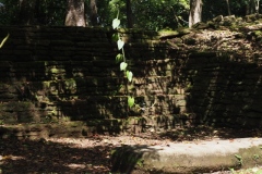 Nim Li Punit - Belize