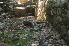 Oxtankah - Quintana Roo