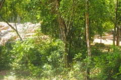 Oxtankah - Quintana Roo
