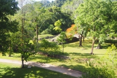 Palenque - Chiapas