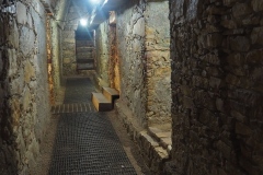 Palenque - Chiapas