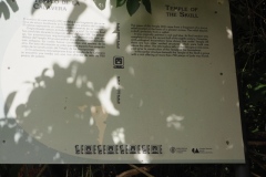 Palenque - Chiapas