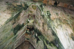 Palenque - Chiapas