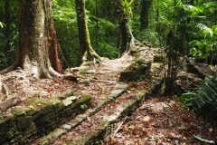 Palenque - Chiapas