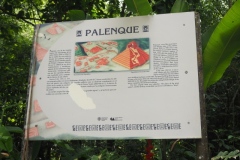 Palenque - Chiapas