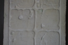 Palenque site museum