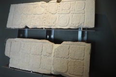 Palenque site museum