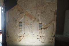 Palenque site museum