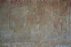 Palenque site museum