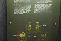 Palenque site museum