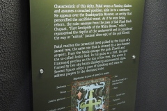 Palenque site museum