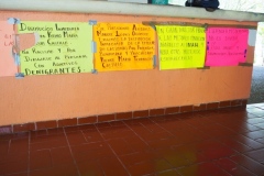 Palenque site museum