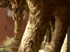 Colonnaded footpath - Parc Guell, Barcelona