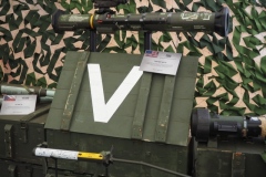 Park Pobeda, (Victory Park), Moscow