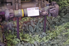 Park Pobeda, (Victory Park), Moscow