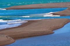 Peninsula Valdes, Argentina