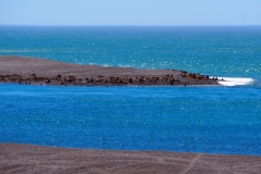 Peninsula Valdes, Argentina