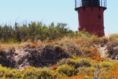 Peninsula Valdes, Argentina