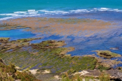 Peninsula Valdes, Argentina