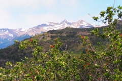 Perito Moreno Glacier