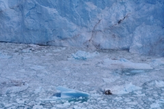 Perito Moreno Glacier
