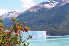 Perito Moreno Glacier