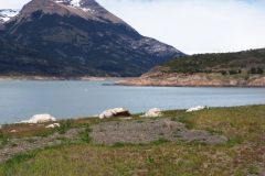Perito Moreno Glacier