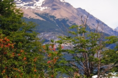 Perito Moreno Glacier