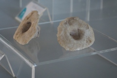 Peten Regional Museum of the Mayan World - San Miguel