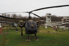 Petru Costin - open air exhibition