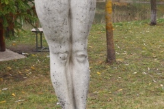 Petru Costin - open air exhibition