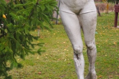 Petru Costin - open air exhibition