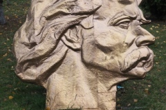 Petru Costin - open air exhibition