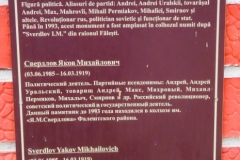 Petru Costin - open air exhibition