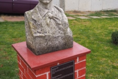 Petru Costin - open air exhibition