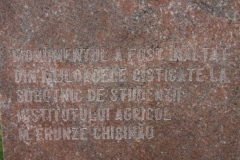 Petru Costin - open air exhibition