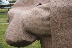 Petru Costin - open air exhibition