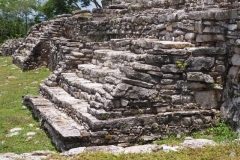Pomona - Tabasco