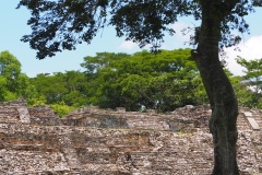 Pomona - Tabasco