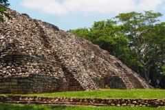 Pomona - Tabasco