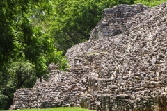 Pomona - Tabasco