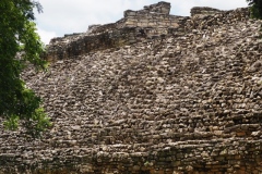 Pomona - Tabasco