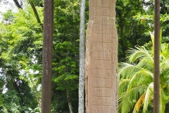 Quirigua - Guatemala