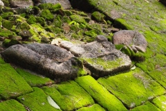 Quirigua - Guatemala