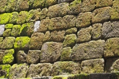 Quirigua - Guatemala