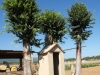 Can Sorques sentry box at Rosanes Airfield, La Garriga, Catalonia