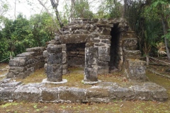 San Gervasio - Cozumel